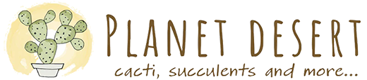 LOGO-1 LOGO-1