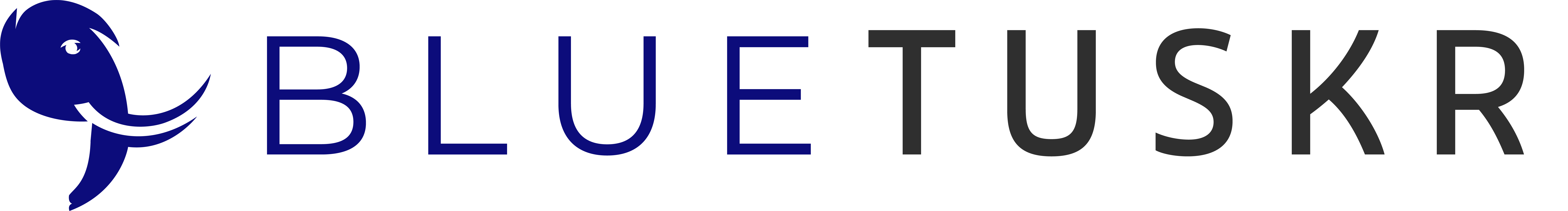 BlueTuskr_Logo_2021V2_Horizontal-2